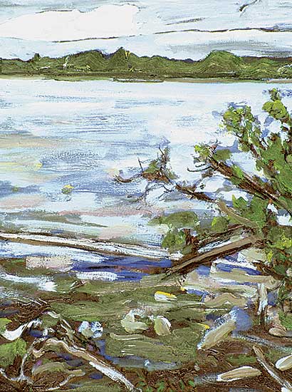 #574 ~ Snyder - Clear Lake