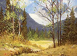 #288 ~ Jackson - Meadow, Tonquin Valley #288 ~ Jackson - Meadow, Tonquin Valley