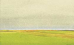 #382 ~ Tanabe - The Prairie / Sketch