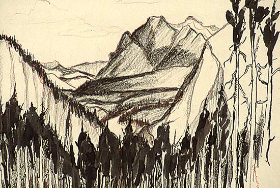 #18 ~ Brandtner - Banff
