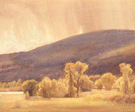 #19 ~ Brigden - Untitled - Summer Day