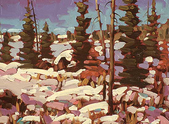 #29 ~ Charlesworth - Near Yellowknife