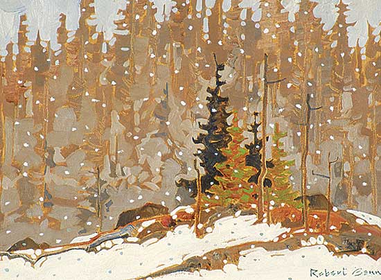 #55 ~ Genn - Woodland Interior, Cariboo