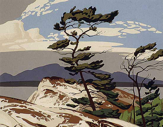 #221 ~ Casson - White Pine