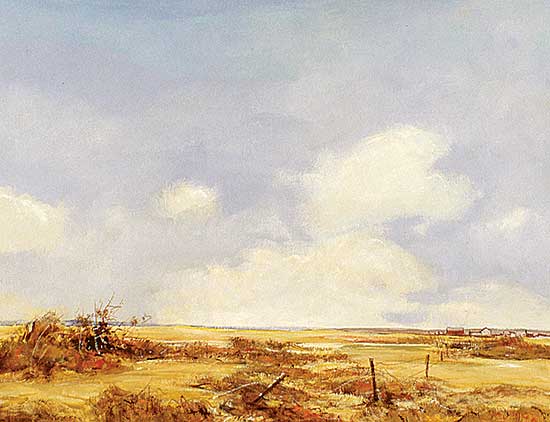 #243 ~ Herold - Farm Near Kindersley