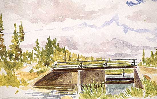 #249 ~ Hurley - Waskesiu