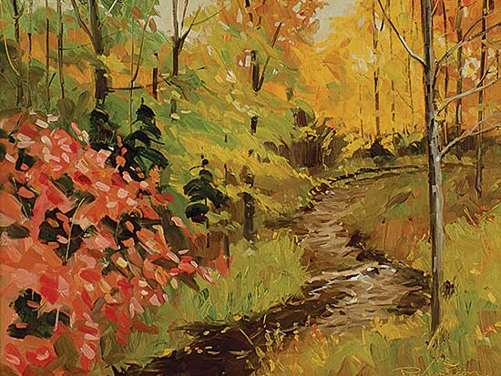 #252 ~ Jamieson - Autumn Stream, Franklin Centre, Que.