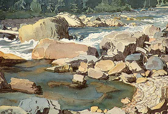 #370 ~ Shelton - Cascade Creek