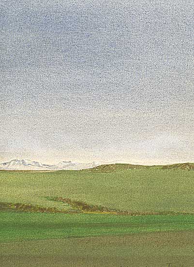 #384 ~ Tanabe - Southern Alberta Foothills