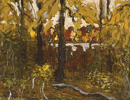 #393 ~ Winn - Clearing to the Ausable River