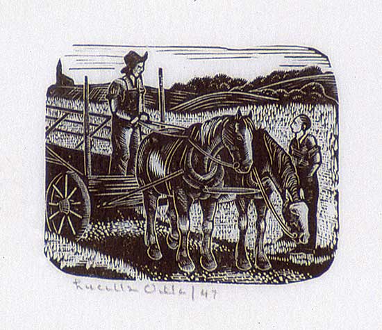 #517 ~ Oille - Untitled - Harvest Time