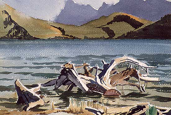 #541 ~ Shelton - Untitled - Driftwood on a Mountain Lake