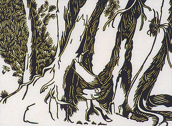 #548 ~ Shelton - Trees Opposite Sladeks