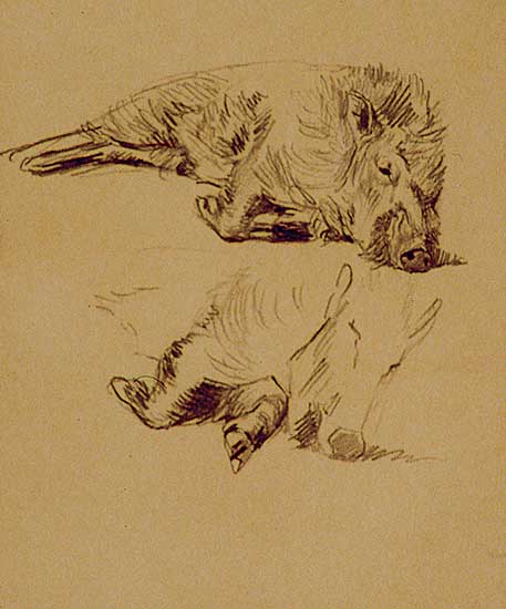 #556 ~ Walker - Untitled - Two Sketches of a Boar