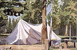 #540 ~ Shelton - My Camp