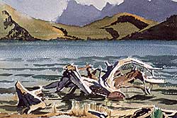 #541 ~ Shelton - Untitled - Driftwood on a Mountain Lake