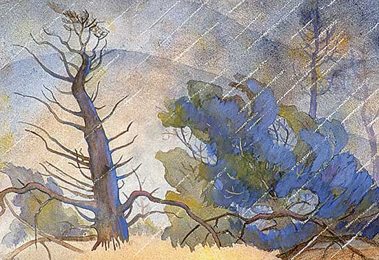 #26 ~ Brown - Rain