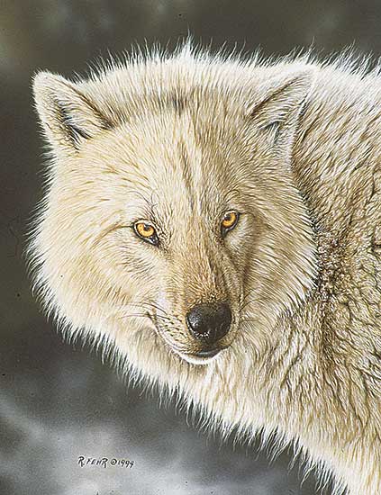 #69 ~ Fehr - Lady Wolf Portrait