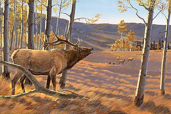 #105 ~ Hiebert - Tending the Herd