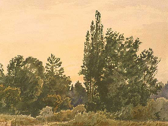 #218 ~ Martin - Untitled - Forest Scene