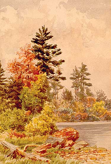 #219 ~ Martin - Untitled - Lake Scene