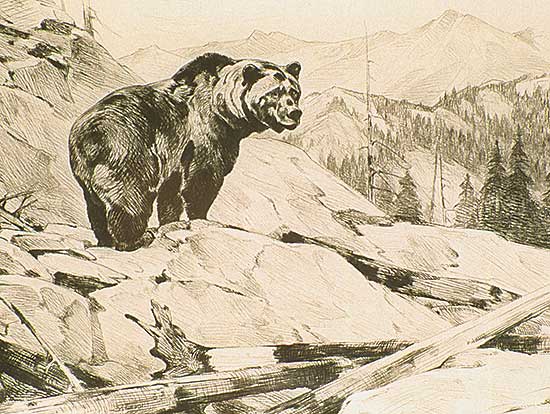 #276.1 ~ Rungius - Silvertip