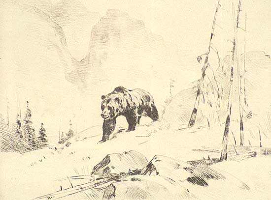 #278 ~ Rungius - Lord of the Canyon