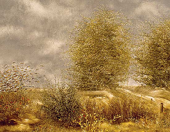 #412 ~ Bulik - Manitoba Scenery