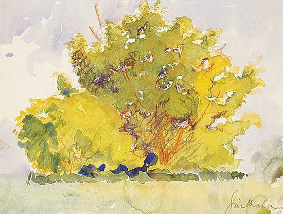 #419 ~ Dichmont - Untitled - Sketch of Tree