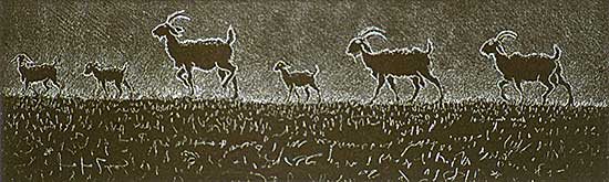 #420 ~ Fafard - Joseph's Goats  #20/20