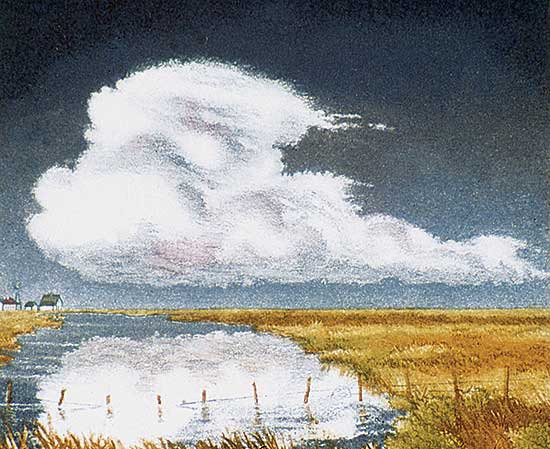 #422 ~ Frank - Prairie Sailer  #6/30