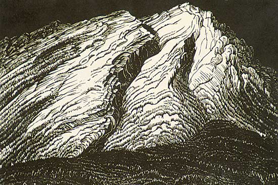 #490 ~ Shelton - Cascade Mountain  #20/50