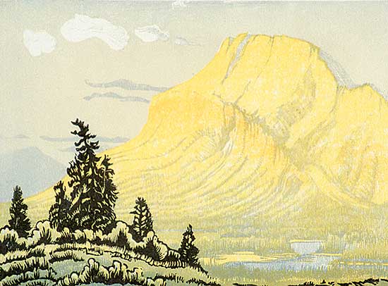 #491 ~ Shelton - Rockface at Mt. Rundle  #29/100