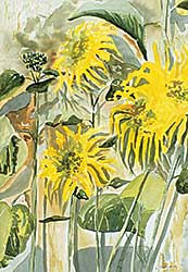 #418 ~ Cormack - Barb's Sunflowers