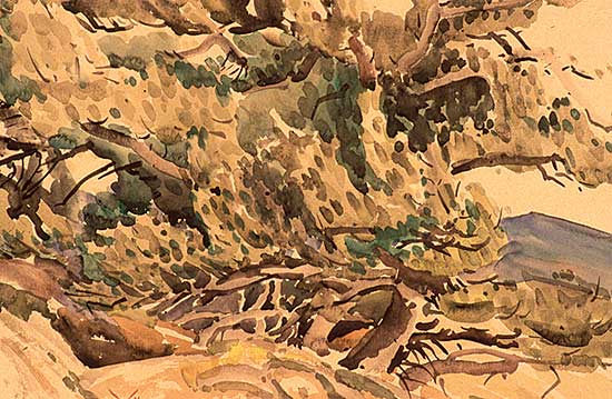 #117 ~ Kerr - Windy Ridge