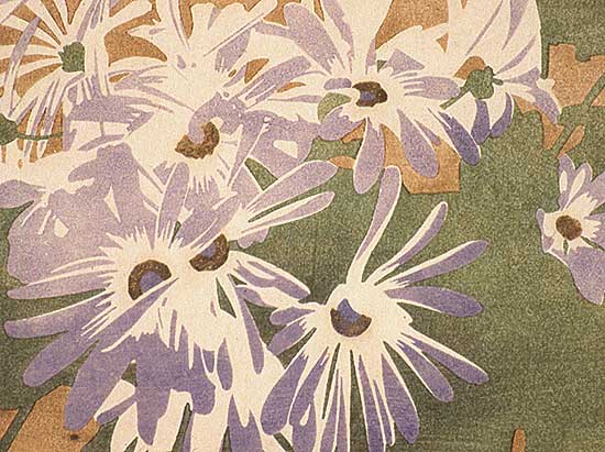 #254 ~ Phillips - Cineraria  #12