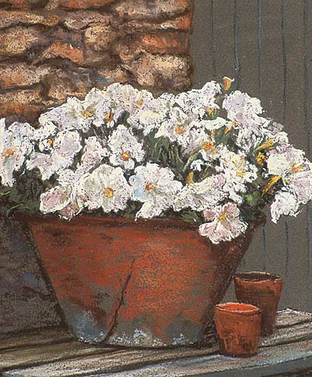 #323 ~ Zegray - Petunias