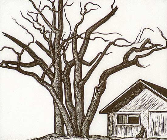 #401 ~ Atkins - Tree Group  #14/26