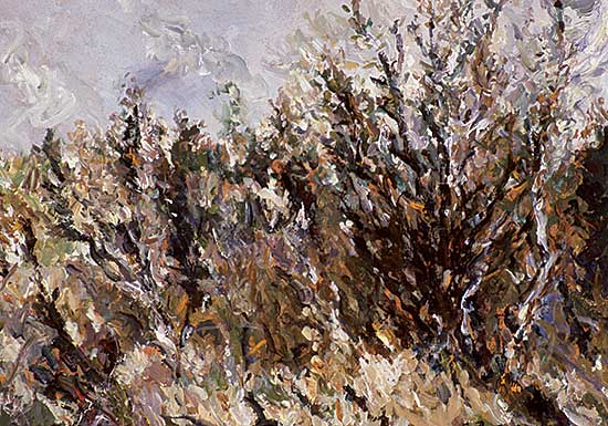 #409 ~ Bres - Willows and Other Growth on the Lobstick
