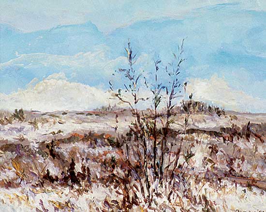 #411 ~ Bres - Landsdown Ridge