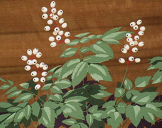 #415 ~ Casson - Winter Berries