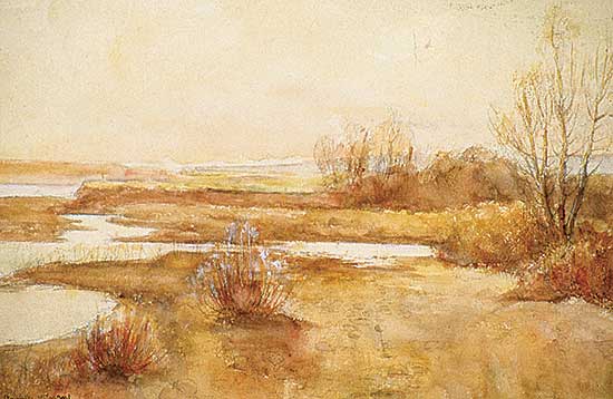 #427 ~ Gordon - Untitled - The Marsh
