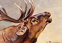 #269 ~ Rungius - Untitled - Bugling Elk