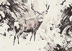 #270 ~ Rungius - Mule Deer