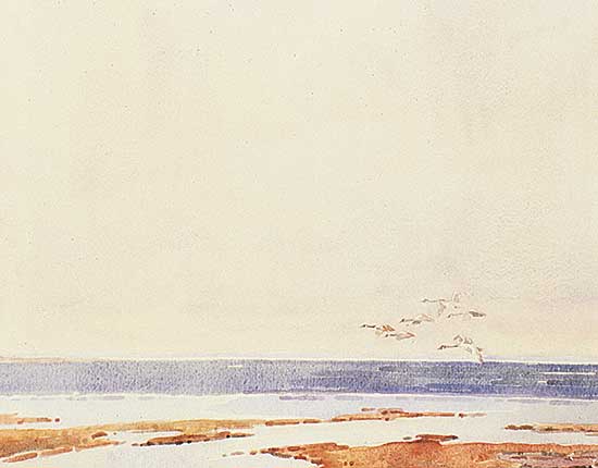 #52 ~ Cross - Wild Geese [over Lake Newell]