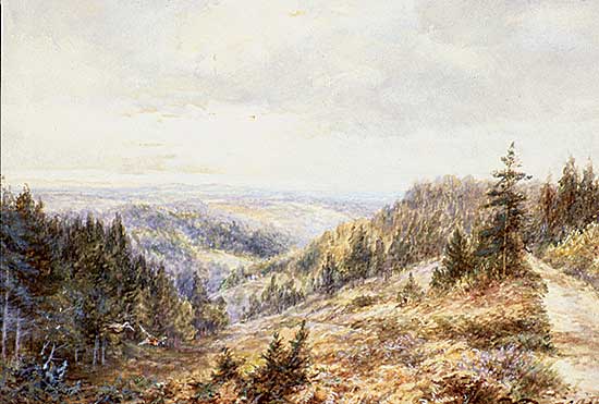 #58 ~ Duncan - Untitled - Wooded Landscape with Pheasant