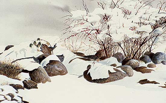 #73 ~ Gibbs - Snowy Pond