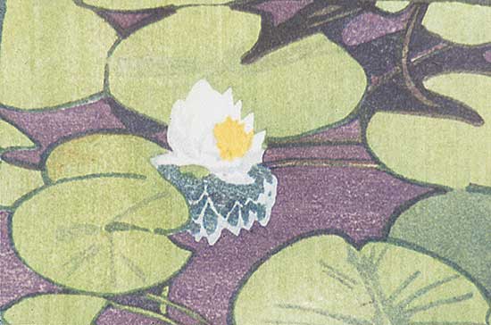 #254 ~ Phillips - The Lily