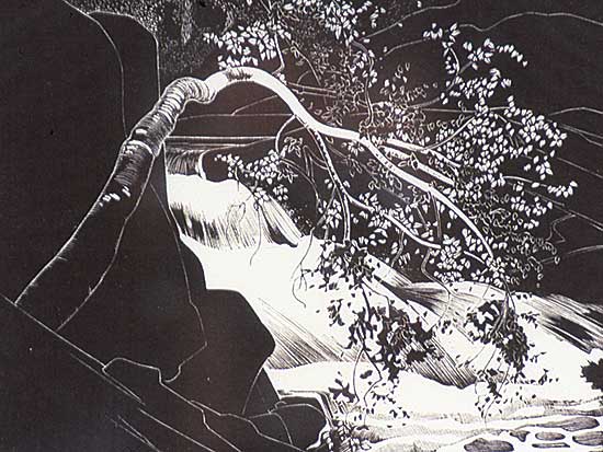 #255 ~ Phillips - Rushing River, Lake of the Woods