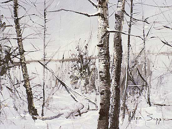 #280 ~ Sapp - Not Too Many Trees